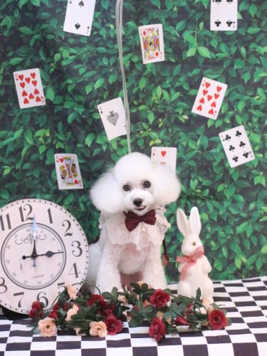 20250419ゆわちゃん